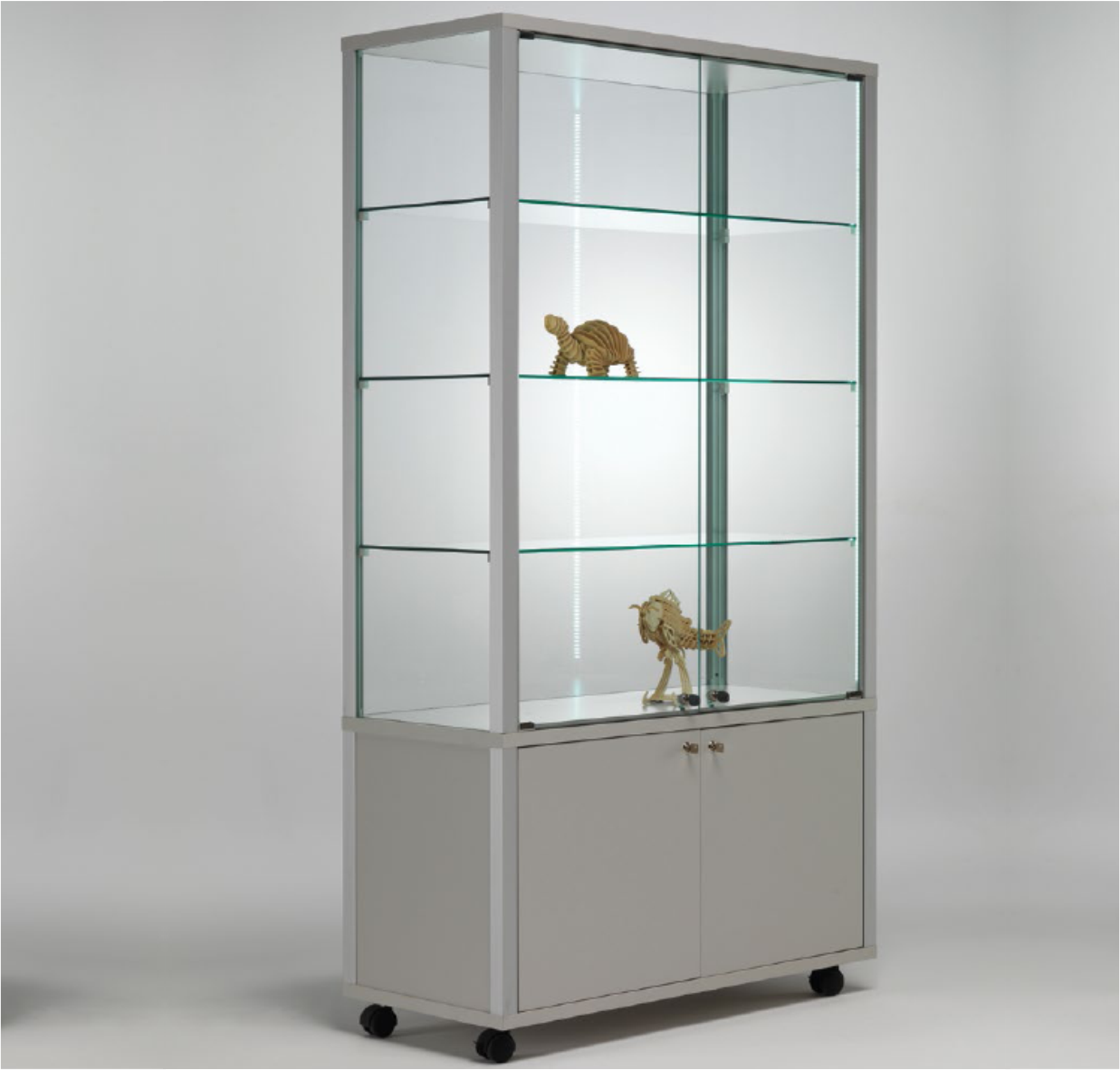 LIA M 80-43M with Storage Cabinet Floor Display Cabinet Aluminum Framed Glass Anti-Dust